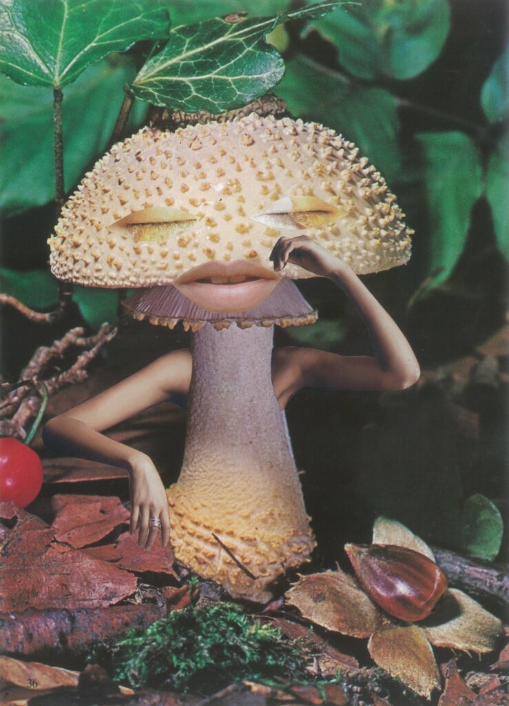 Seana Gavin-Mindful Mushroom-Somerset House-Francesca Gavin