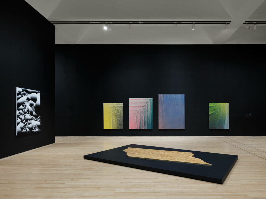 Tauba Auerbach-San Francisco Museum of Modern Art